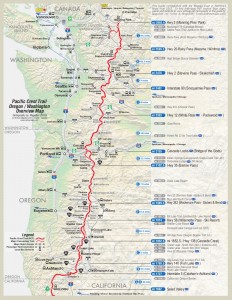 pct_overview_2pg-2